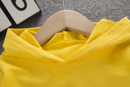 [368221] - Setelan Sweater Overall Hoodie Anak Import - Motif Mini Dinosaurs